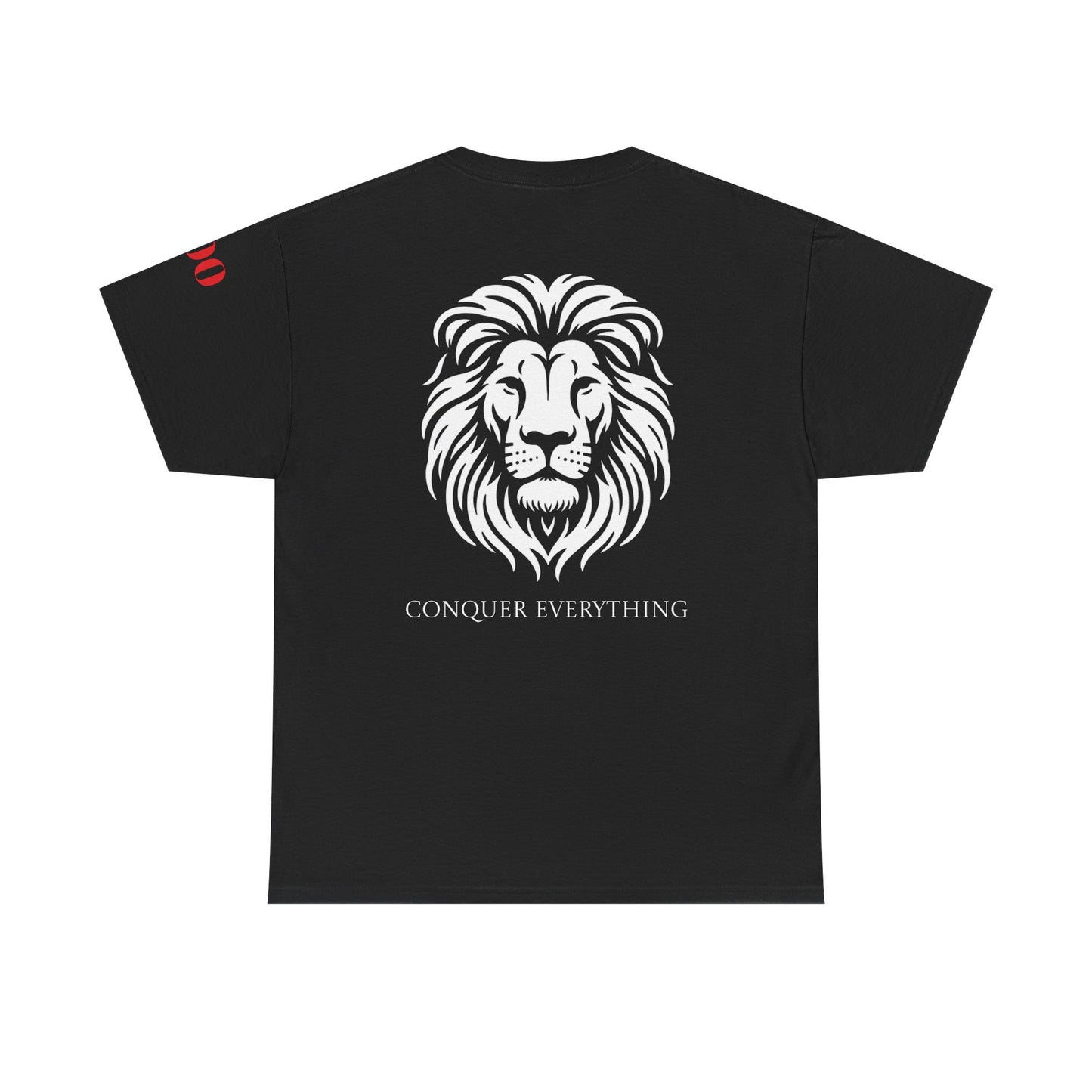 Conquer Everything Unisex Heavy Cotton Tee