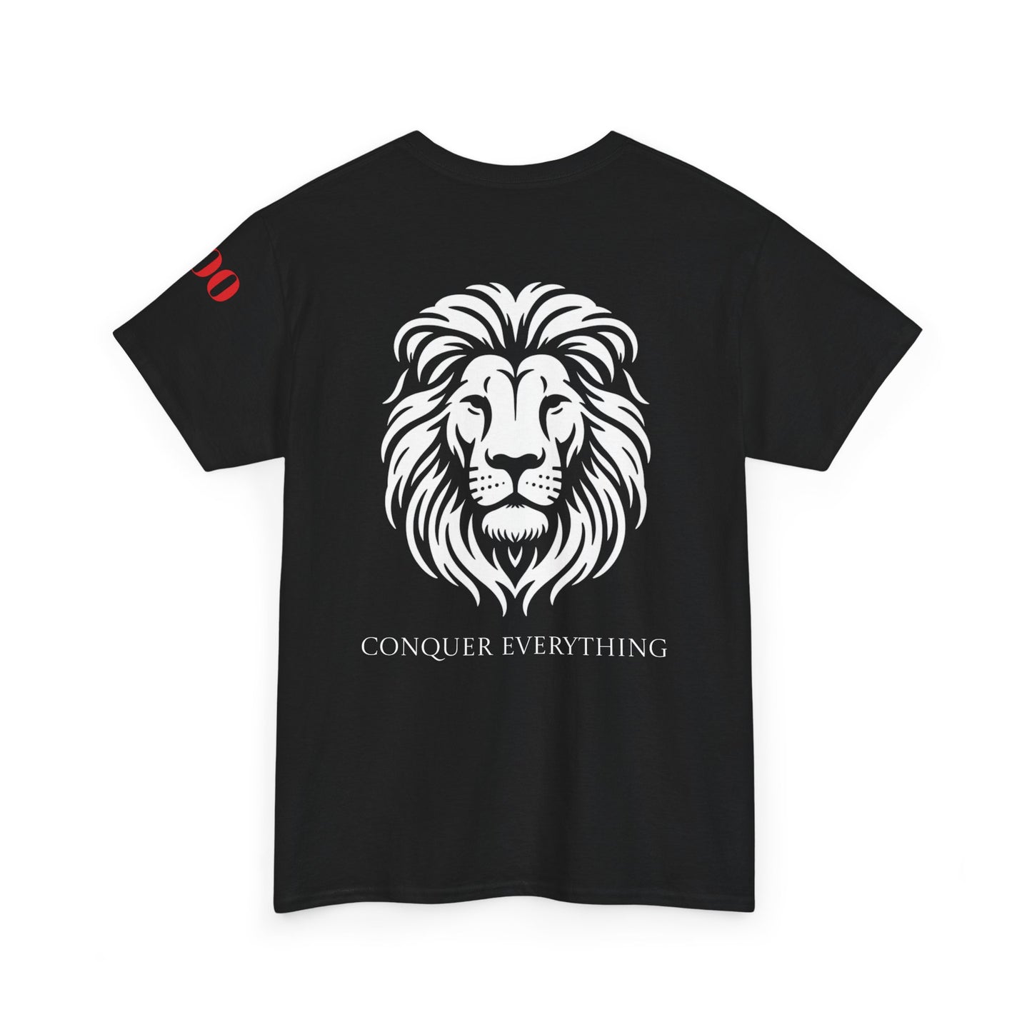 Conquer Everything Unisex Heavy Cotton Tee