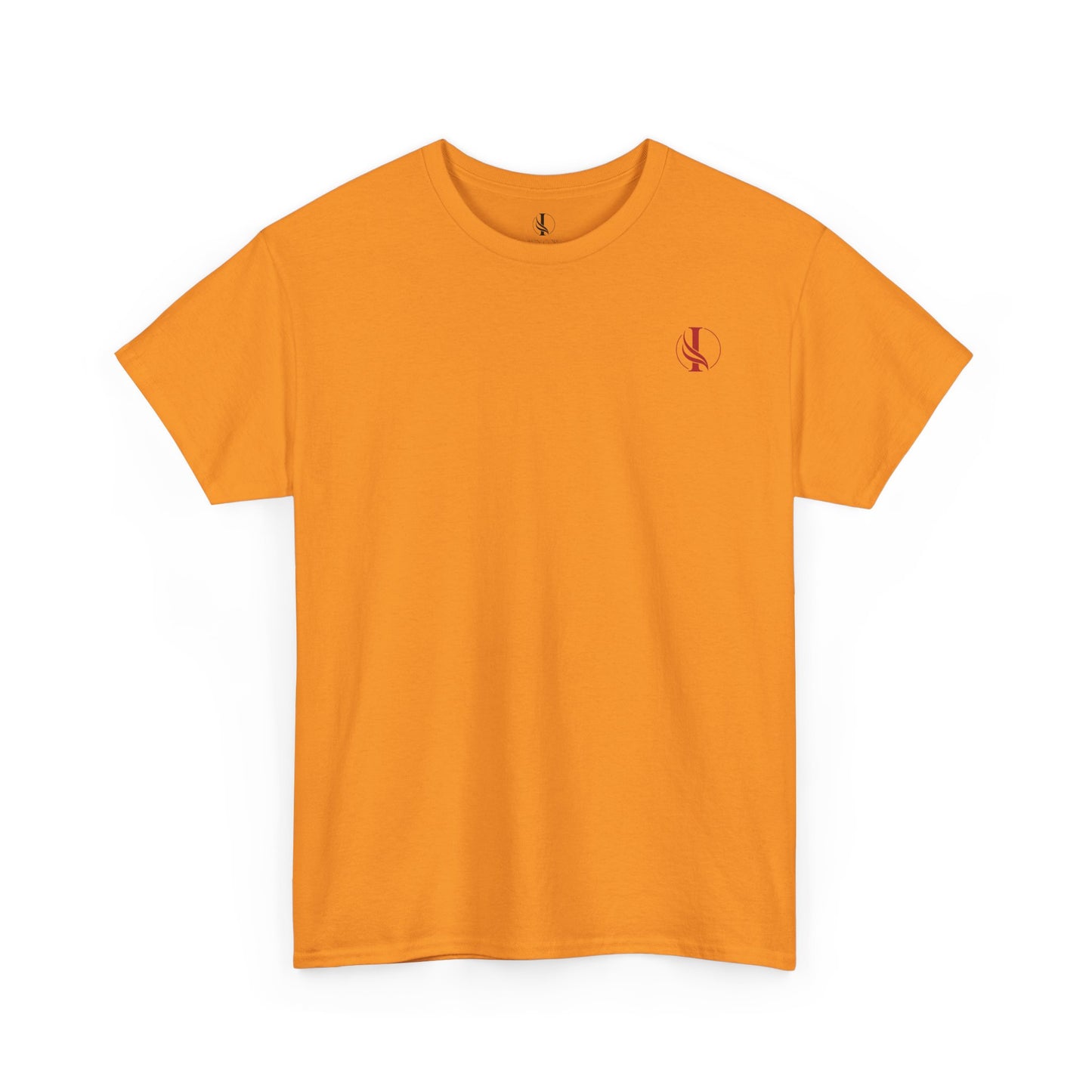 Conquer Everything Unisex Heavy Cotton Tee