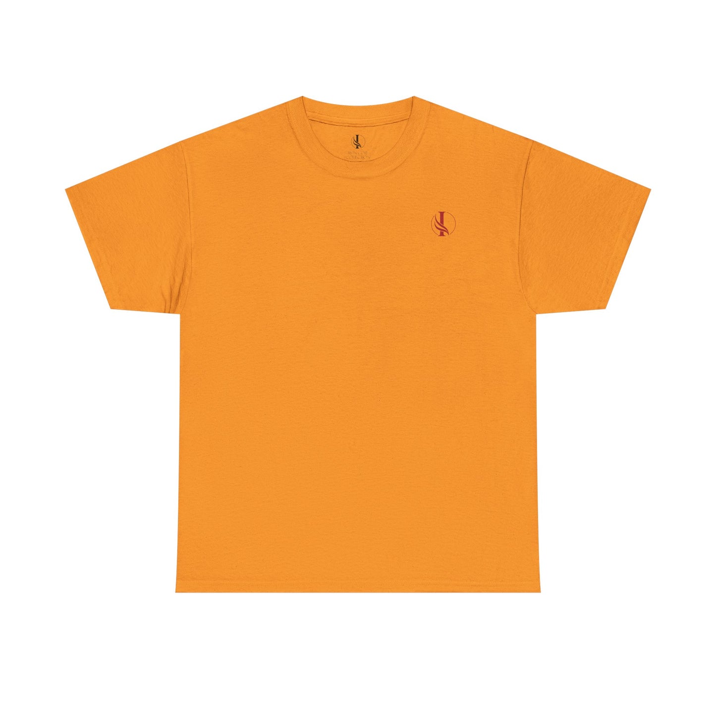 Conquer Everything Unisex Heavy Cotton Tee