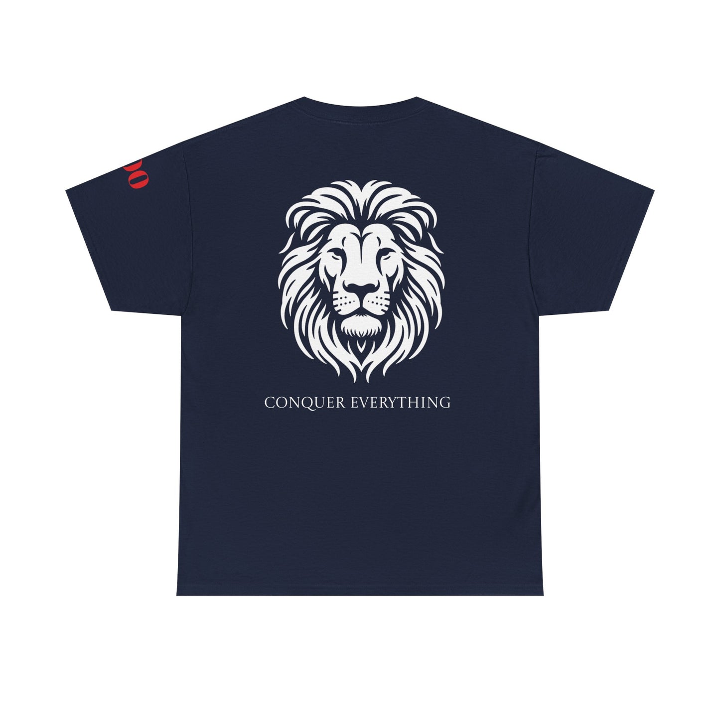 Conquer Everything Unisex Heavy Cotton Tee