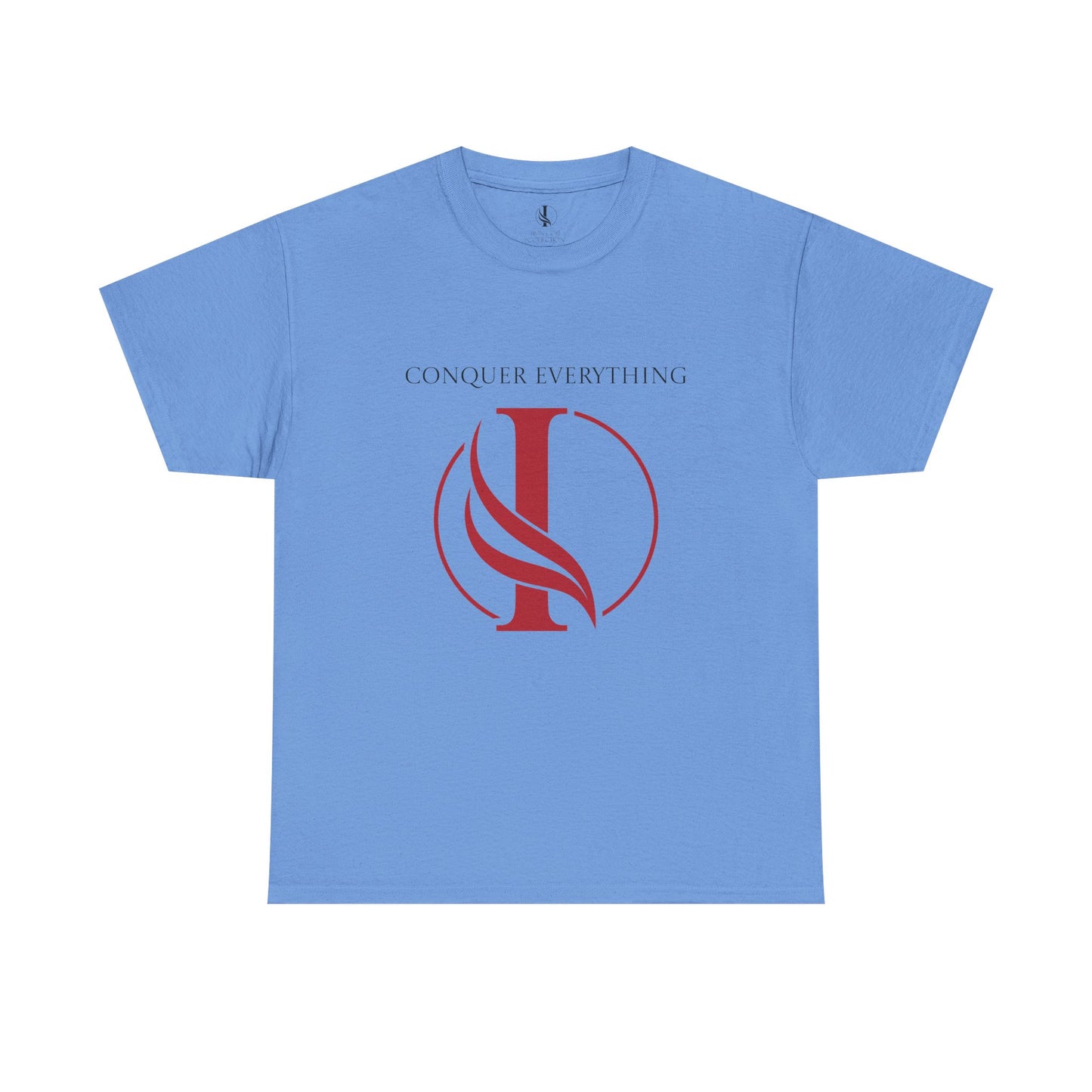 Conquer everything Unisex Heavy Cotton Tee