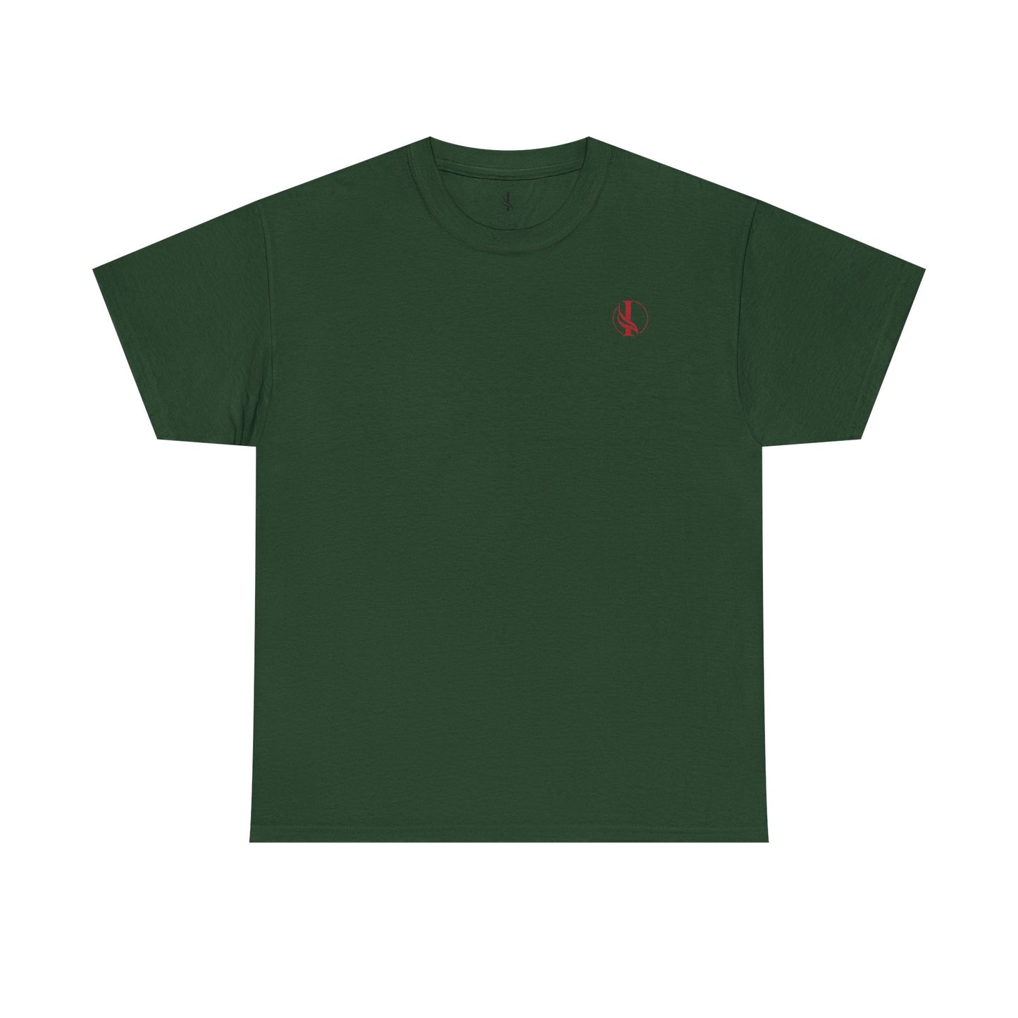 Conquer Everything Unisex Heavy Cotton Tee