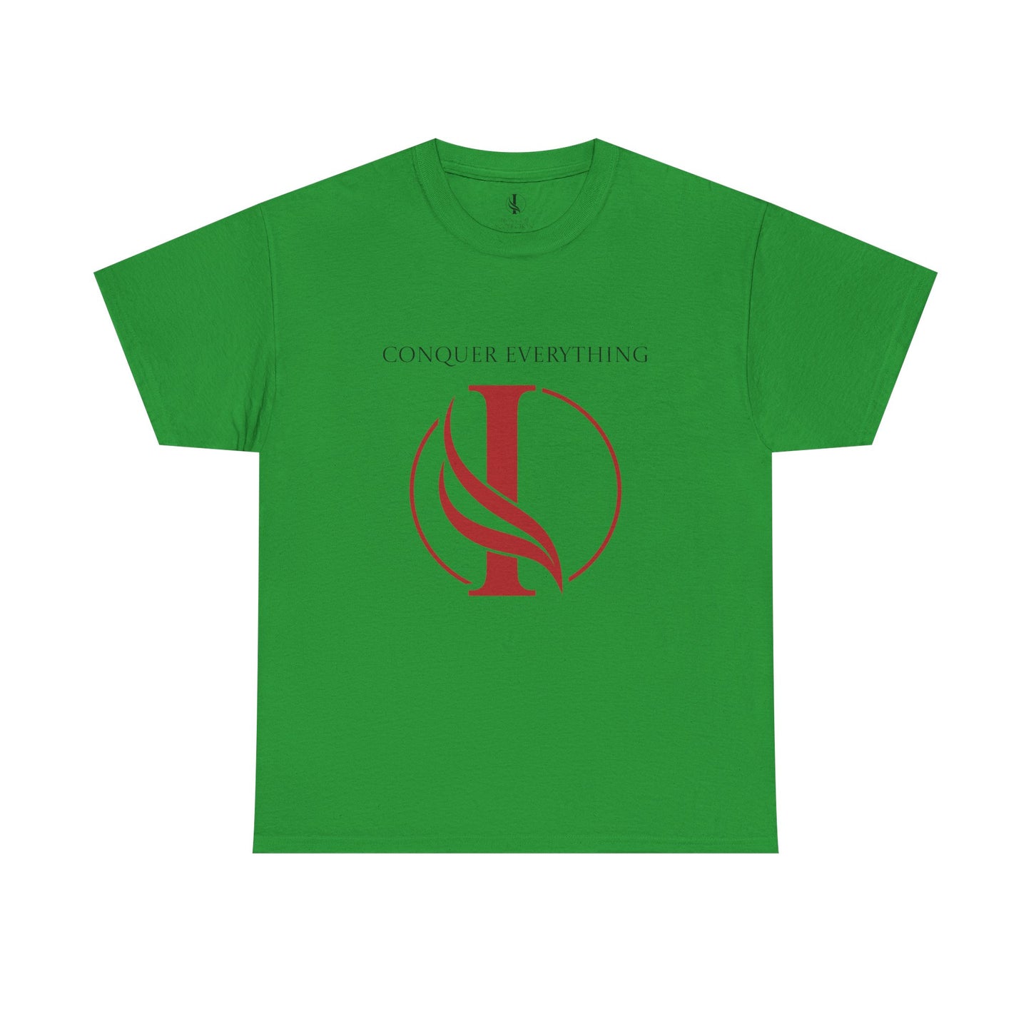 Conquer everything Unisex Heavy Cotton Tee