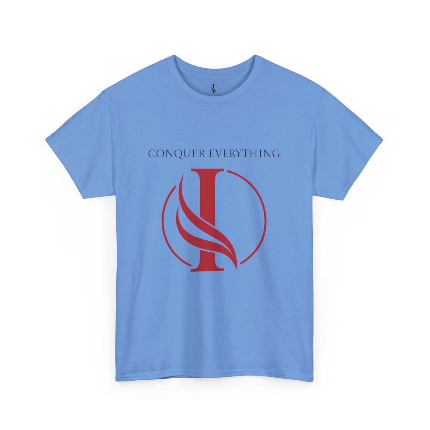 Conquer everything Unisex Heavy Cotton Tee
