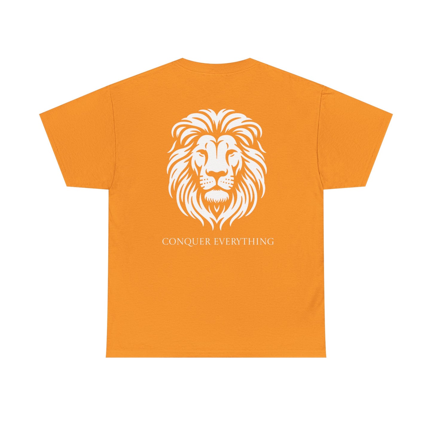 Conquer Everything Unisex Heavy Cotton Tee