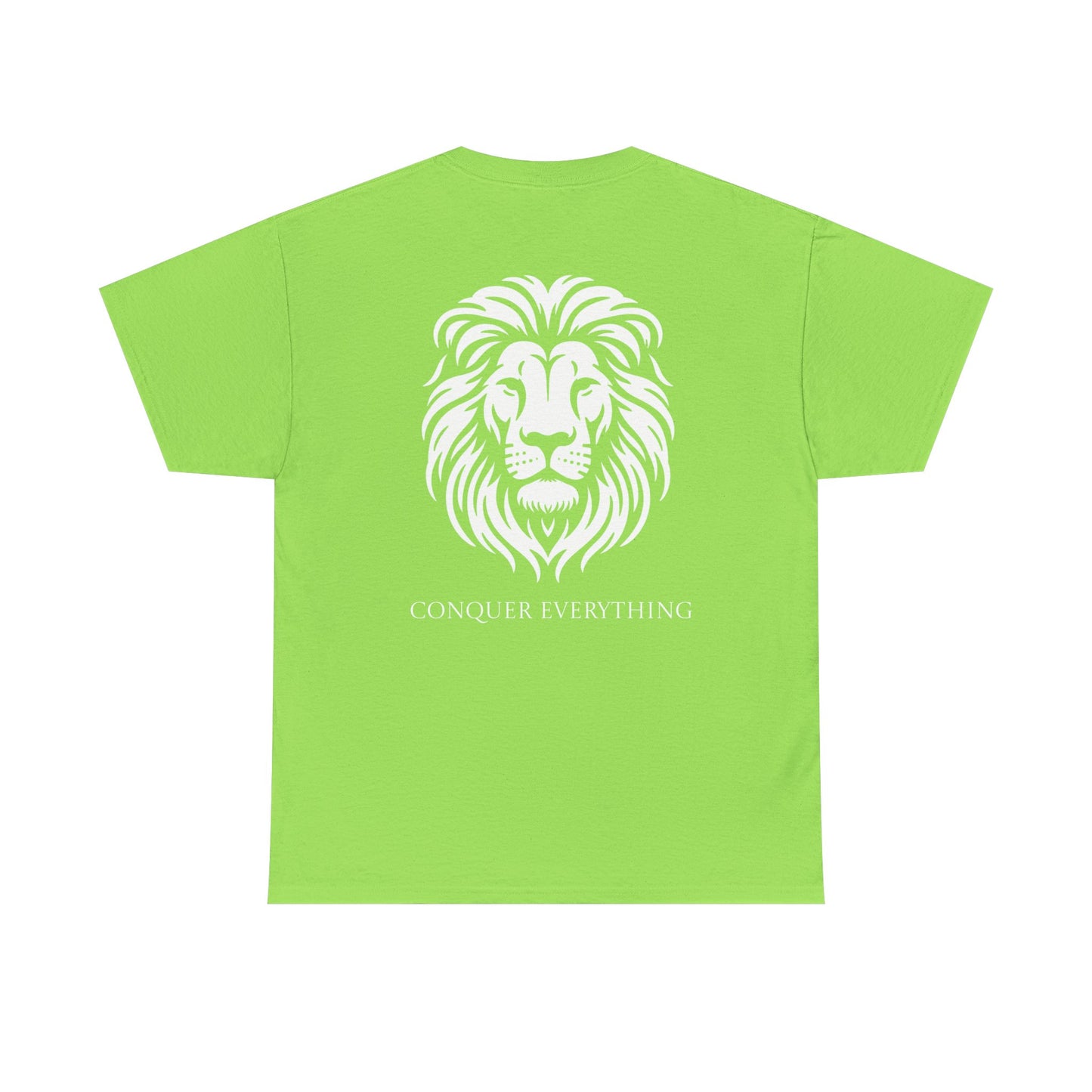 Conquer Everything Unisex Heavy Cotton Tee