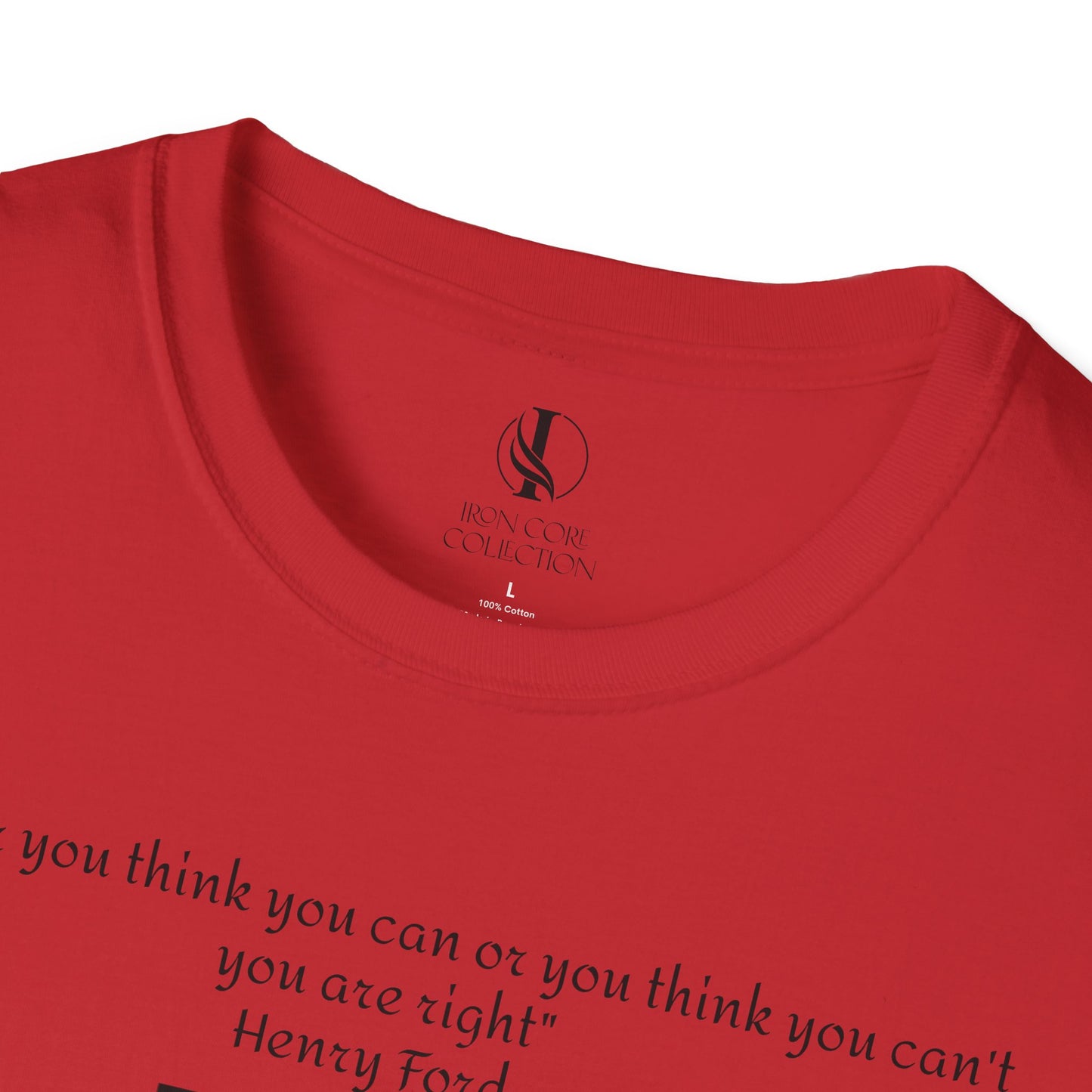 Inspirational American Quote T-Shirt - Unisex Softstyle Tee