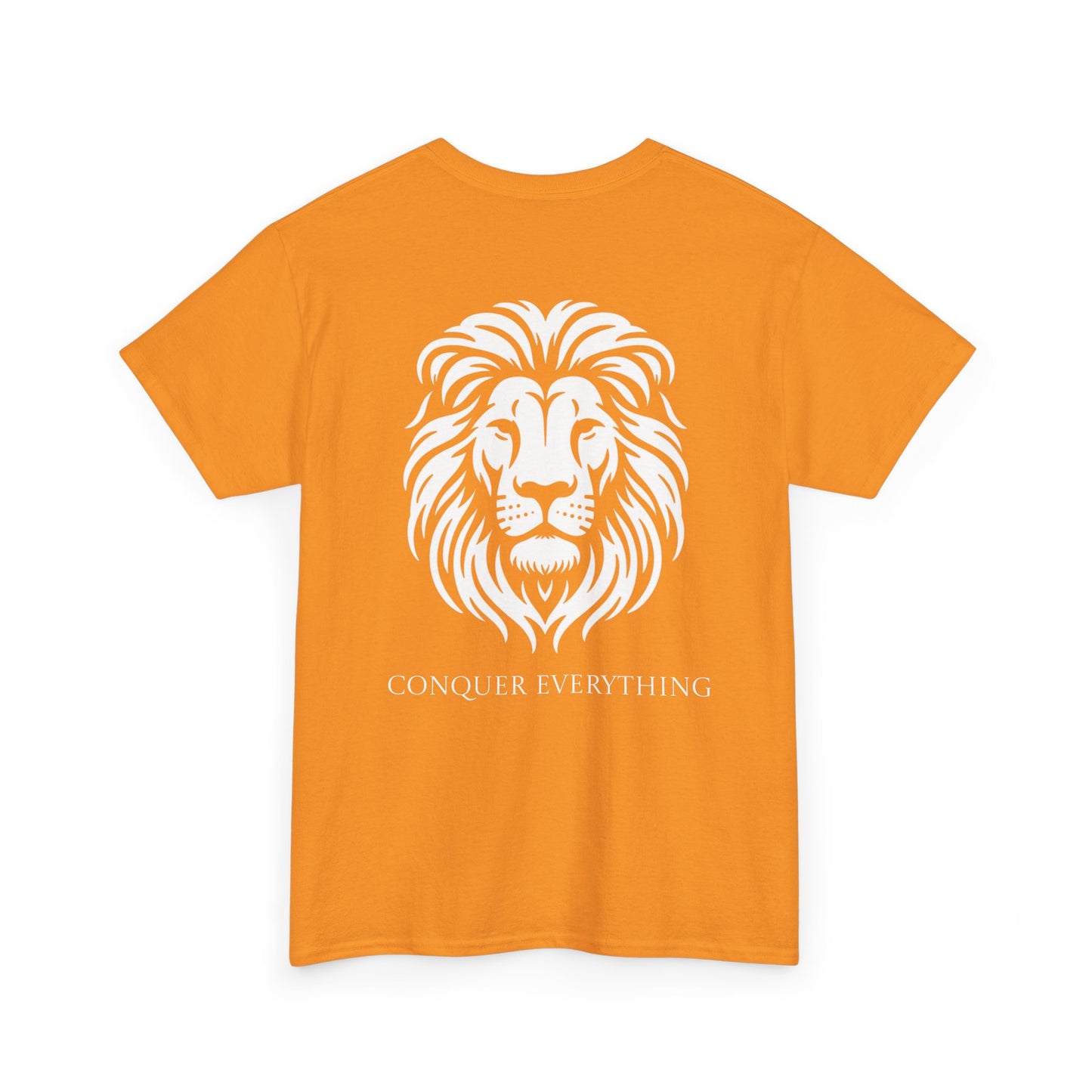 Conquer Everything Unisex Heavy Cotton Tee
