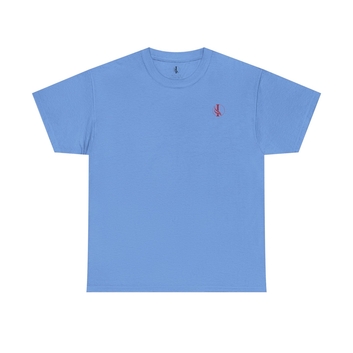 Conquer Everything Unisex Heavy Cotton Tee