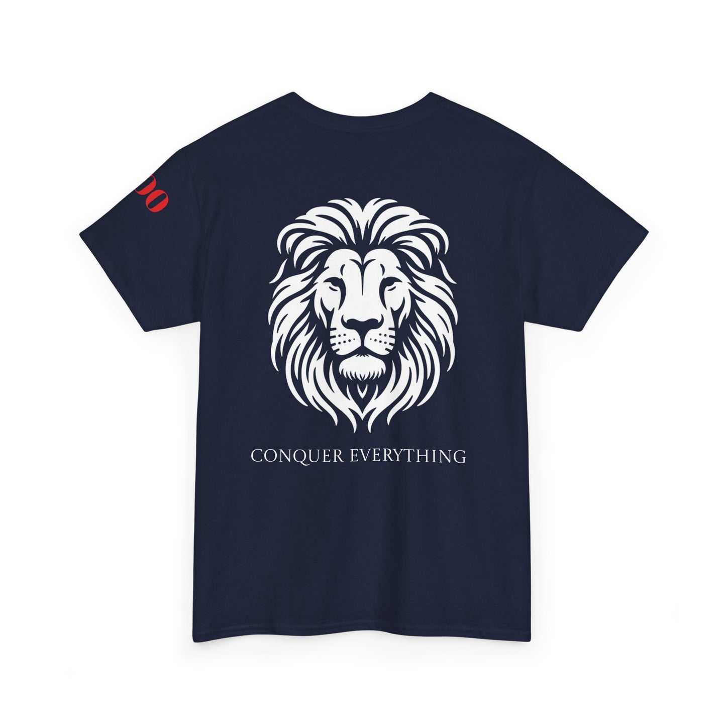 Conquer Everything Unisex Heavy Cotton Tee