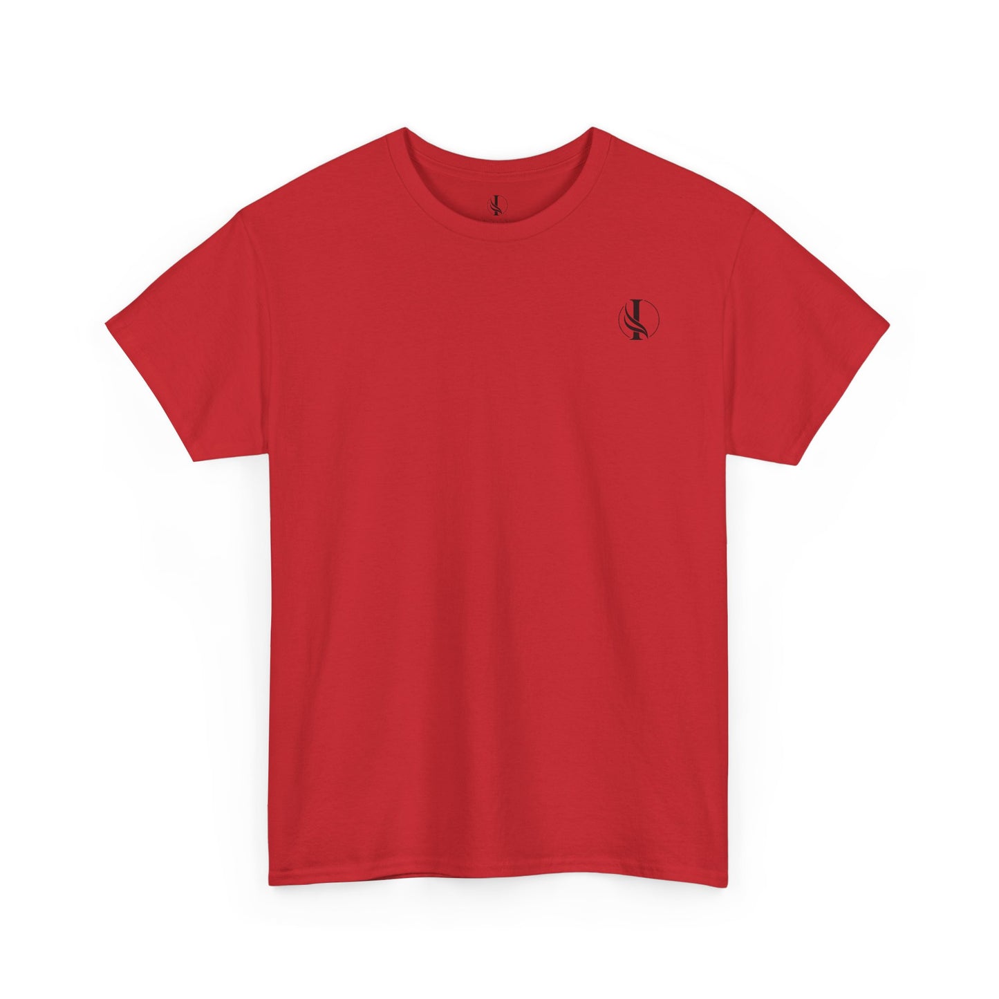 Conquer Everything Unisex Heavy Cotton Tee