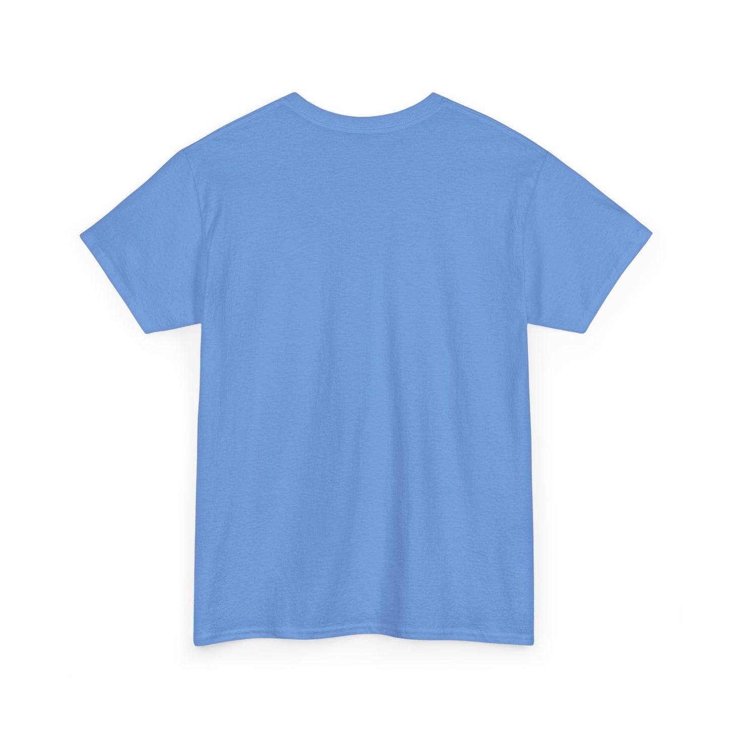 Conquer everything Unisex Heavy Cotton Tee
