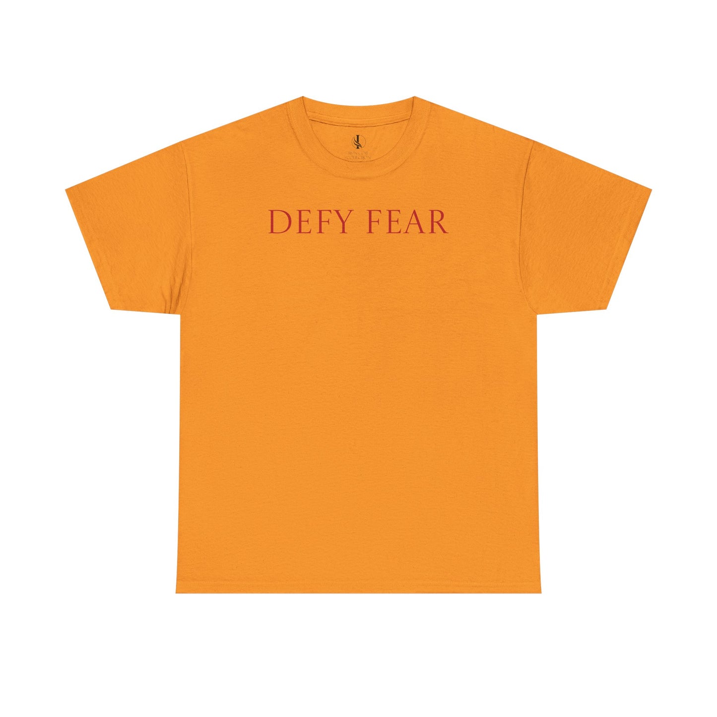 Defy Fear Unisex Heavy Cotton Tee