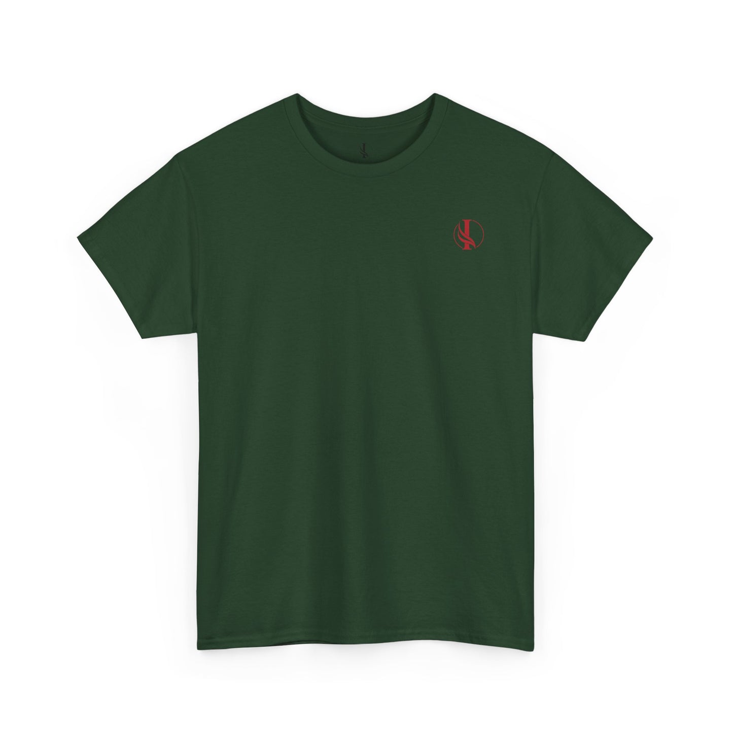 Conquer Everything Unisex Heavy Cotton Tee