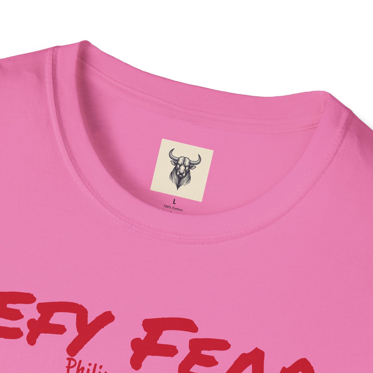 Inspirational Unisex Softstyle T-Shirt - "Defy Fear" Design