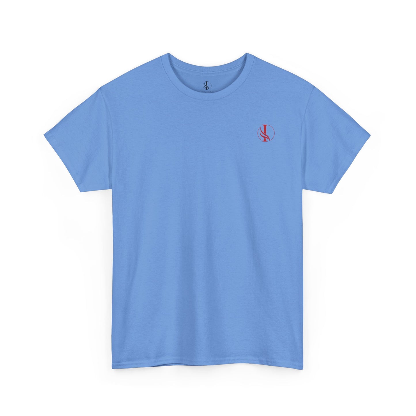 Conquer Everything Unisex Heavy Cotton Tee